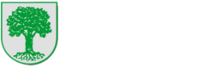 Logo Gemeinde Bubsheim